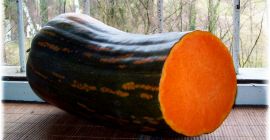 Calabaza Langer de Nápoles