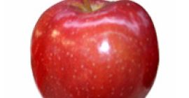 Compraré manzanas Prince. Paquetes de cajas de 14 kg.