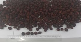 Máscaras secas en grandes cantidades. Hacemos envíos a cualquier