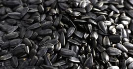 Hola, somos una empresa del ciclo completo de producción