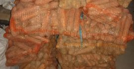 Venderé zanahorias comestibles