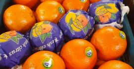 Venderé naranjas, país de origen Irán. Embalaje caja de