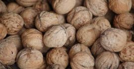 Vendo nueces con cáscara- € 2.50 / kg Contacto: