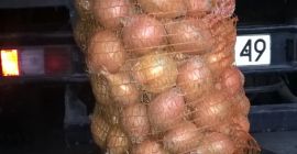 Venderé cebollas amarillas. En bolsas de 5-15 kg. Vestida