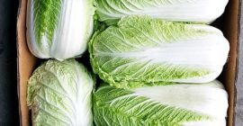 Venderé una muy buena col china fría. Saludable por