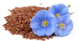 Buenas tardes Vendemos lino para exportar a Europa. Estoy