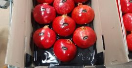 podemos negociar +998904061707 estoy en whatsapp y telegram