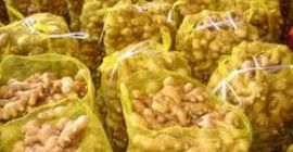Nombre del producto: JENGIBRE FRESCO Peso / Tamaño: 100g-150g-200g-250g-300g