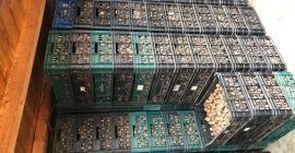 Vendemos frutos secos, certificación ECOLÓGICA, producción propia 2019, variedades