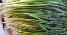 Venderé cebolletas en papel de aluminio.