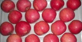 Manzanas Qinguan La piel gruesa de la manzana Fuji