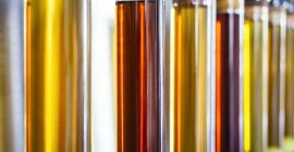Venderé aceite de colza con contenido de fósforo de