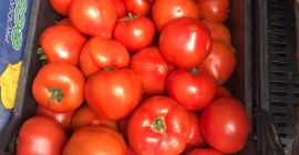 ¡Tomates DIRECTAMENTE DE UN FABRICANTE EN ALBANIA! Sensacional sabor