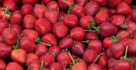 Sandía fresca y fresas de la granja a precios