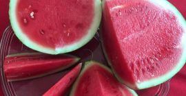 La sandía (Citrullus lanatus) es una fruta grande y