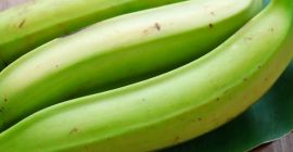 Los plátanos Ta Qua Los plátanos son a menudo