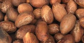 La kola amarga es una fruta muy útil con