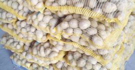 Venderé papas papas calibre 5+ limpio.