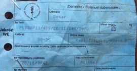 Rendimiento de 1,5 h de papas jóvenes (DENAR) (alrededor