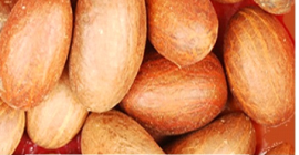 GREENGURU LTD. se especializa en comercialización de productos, exportaciones