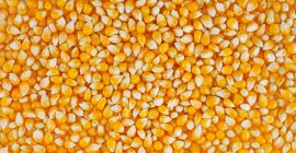 La compañía Max Toriya ofrece cooperación a largo plazo