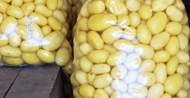 Potaoes recién lavados o sin lavar en Rumania