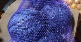 2. Venta: repollo rojo 1-3 kg, variedad para almacenamiento,