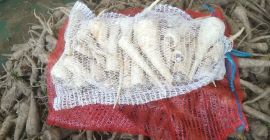 4. Venderé perejil Arat; La cantidad de 1.5t que