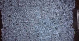 Venderé bayas orgánicas de bayas de Kamchatka - variedad