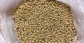 Bienvenido La empresa Unique Product Sp. z o. o.