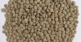 *** Lentejas de alimentos verdes *** Parámetros de calidad: