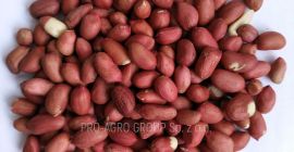 *** Cacahuete (crudo, entero) *** Sin cáscara, forma redonda,