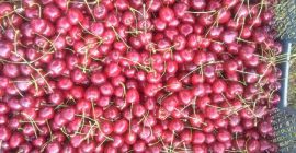 Tengo que vender un gran número de cerezas de