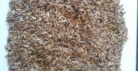 Humedad no superior al 6% Pureza no inferior al