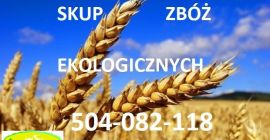 Compraré cereales convencionales y ecológicos: centeno, triticale, avena, cebada,