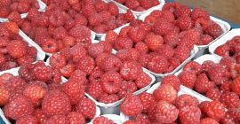 En venta precio frambuesa PLN 4.00 250 g