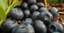 Arándanos, frescos. Venderé fruta. Te invito a la cooperación.
