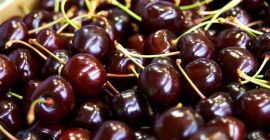 Un vendedor de cerezas y cerezas. Frutas al por