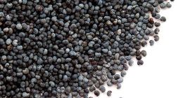 Ofrezco a la venta amapola azul checa, I. y