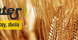 PPHU Ginter contratará colza para la cosecha 2020. La