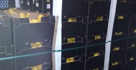 Verna limón a la venta, primera clase de unas