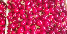 Ofrecemos frutas, bayas y verduras de temporada del país