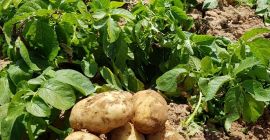 Una empresa con muchos años de experiencia en la