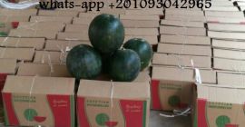 (Compañía ALshams para importación y exportación general) Oferta para