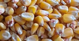 La empresa Alshams para importación y exportación en general