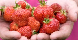 Venderé fresas frescas y rellenas cultivadas orgánicamente. 6 PLN