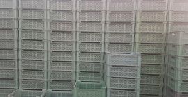 Vendo cajas de plástico de 15 kg 40x60x22 cm