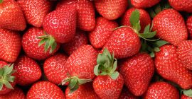 Hola. Puedo ofrecer diferentes variedades de fresas de alta