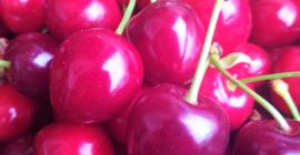 Venderé cerezas, mis propias colecciones, arrancadas, para pedidos. Fruta