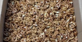 Nueces secas y sin cáscara. Perfecto para hornear. recomendar
